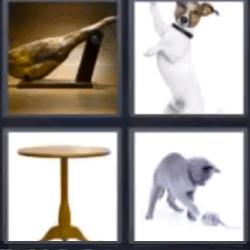 4 fotos 1 palabra gato mesa